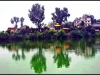 Reflections in the Lake