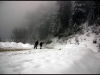 a-pleasant-snow-walk-around-shimla