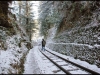 shimla-railway-track-frozen