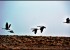 Mercury dips in Himachal, White December highly likely