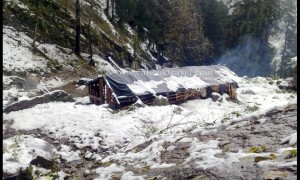 Kheer Ganga – A Pleasant walk in the Himalayas!