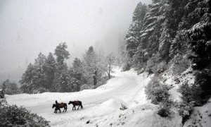 Distances between major Himachal Travel Destinations