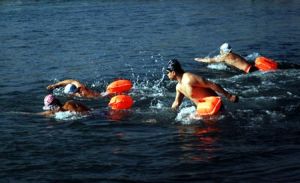 World's highest altitude swimming race in China