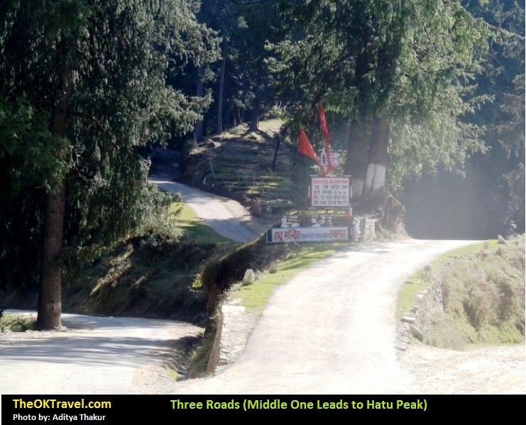 Road Leading to Hatu Peak and Temple near Narkanda Village in Himachal Pradesh