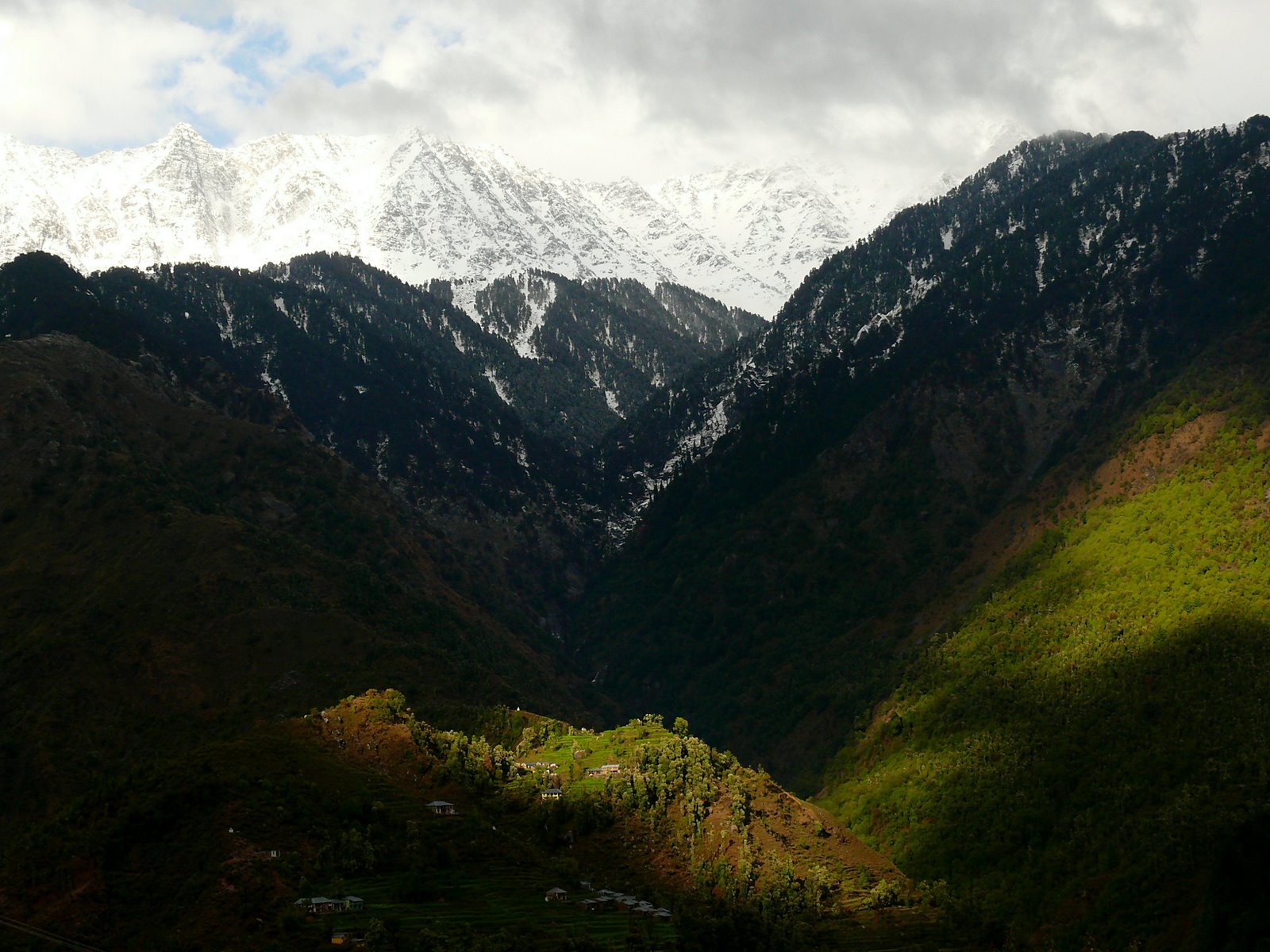 Himalayan National Park_3