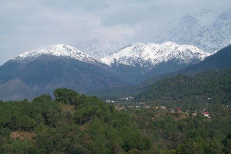 view from Palampur